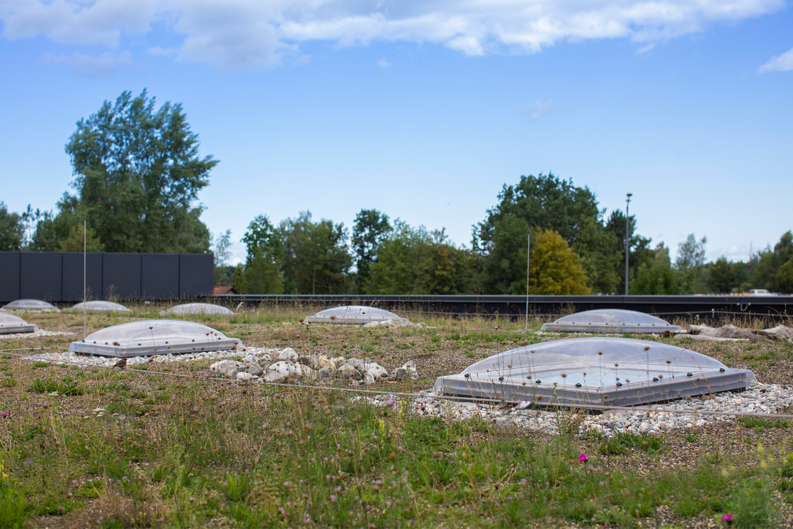 Ein Foto von Petra Rainer