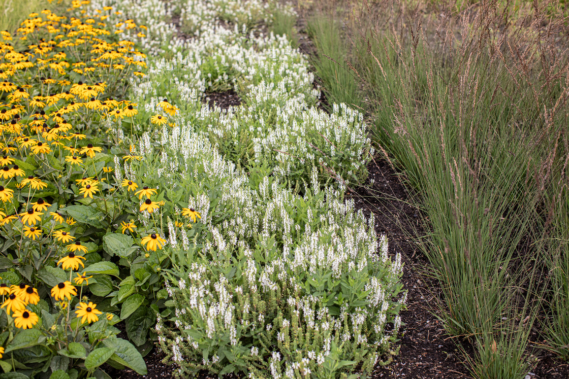 Ein Foto von Petra Rainer