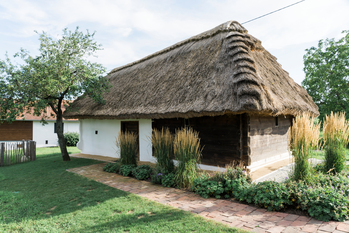 Ein Foto von Rainer Schoditsch