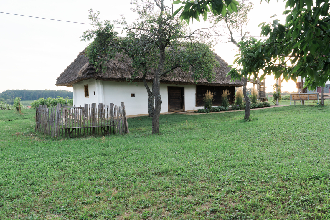 Ein Foto von Rainer Schoditsch