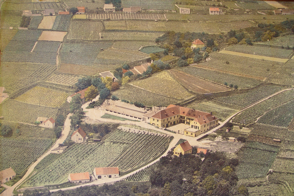 Ein Foto von Winzer Krems eG