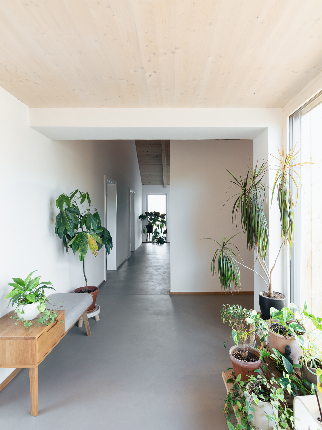 Ein Foto von tschinkersten