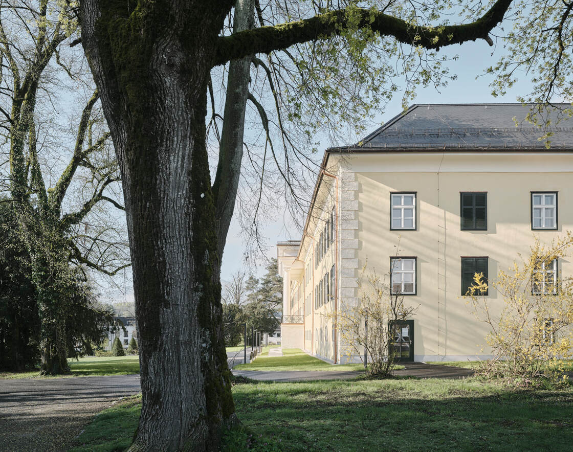 Ein Foto von David Schreyer