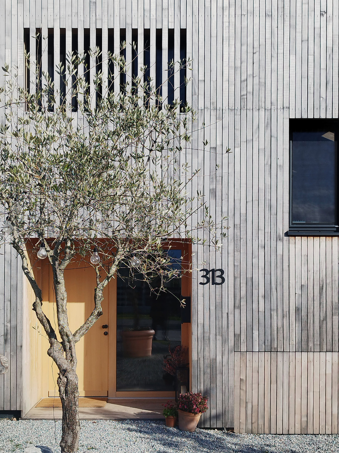 Ein Foto von Juri Troy