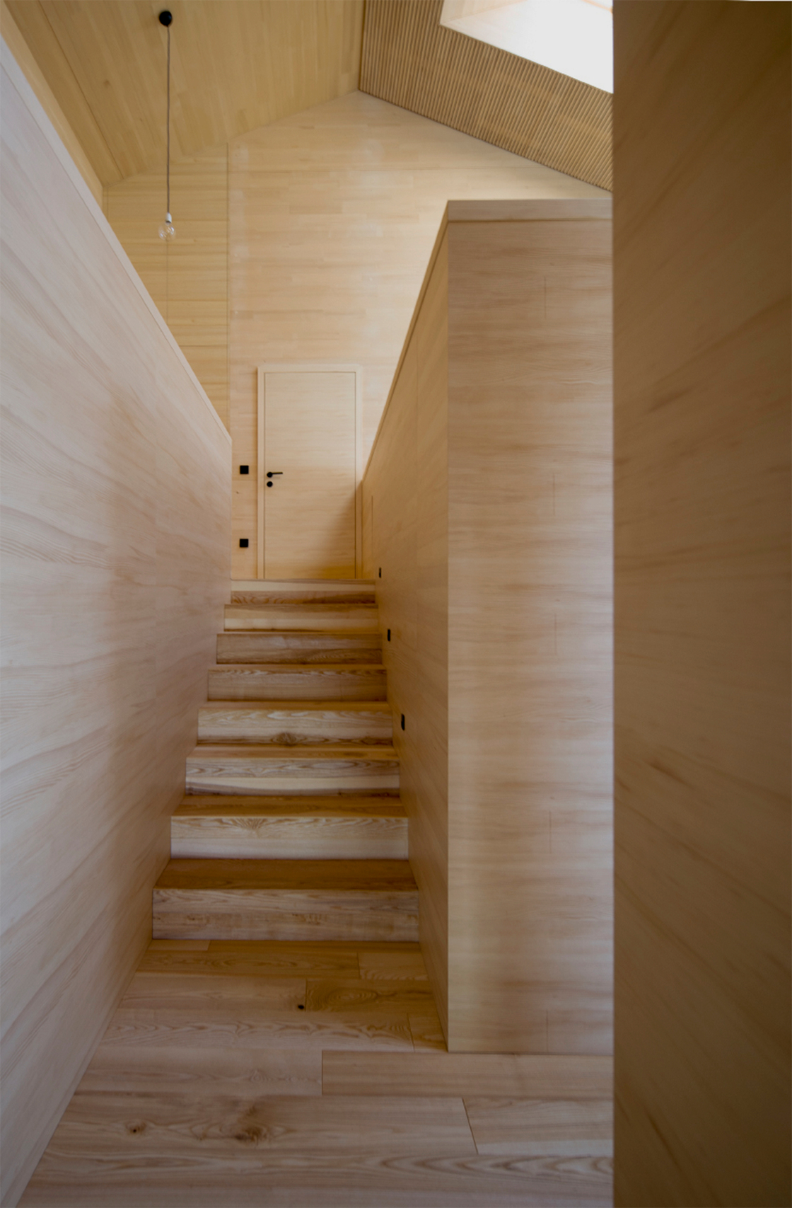 Ein Foto von Juri Troy