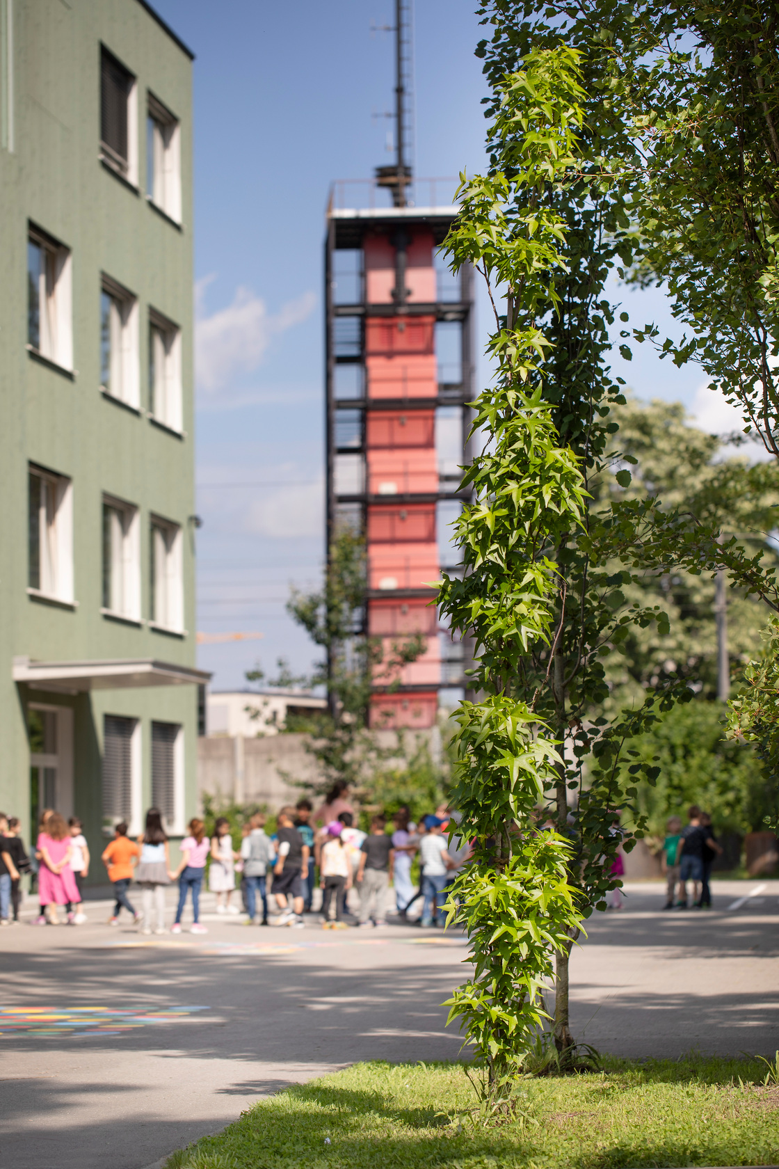 Ein Foto von Petra Rainer