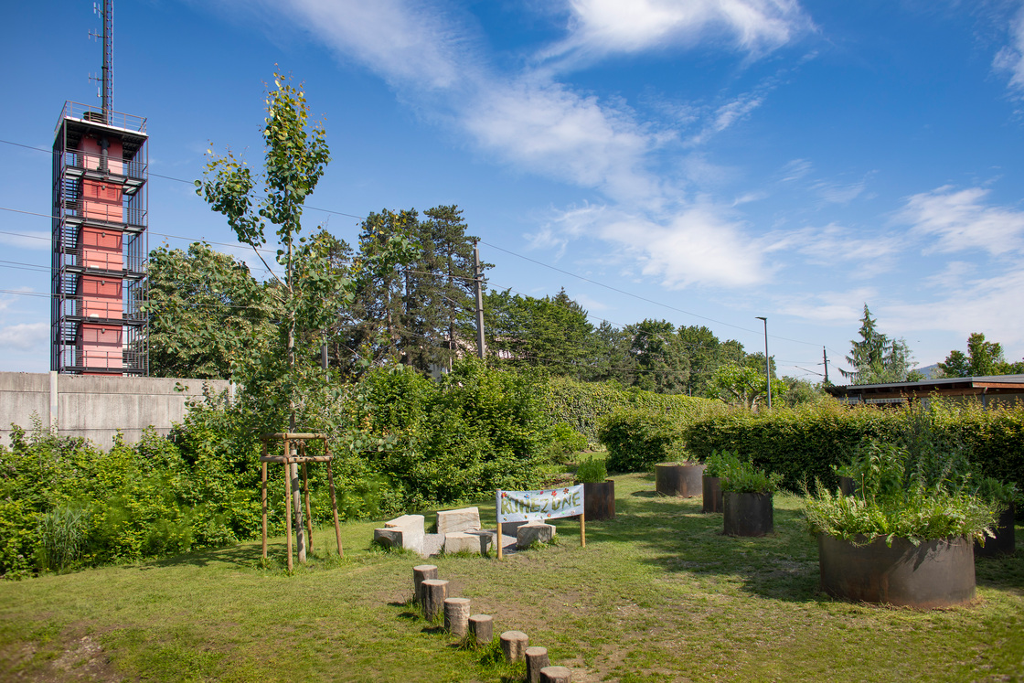 Ein Foto von Petra Rainer