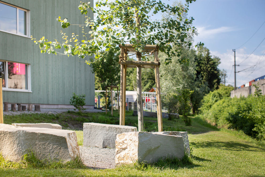 Ein Foto von Petra Rainer