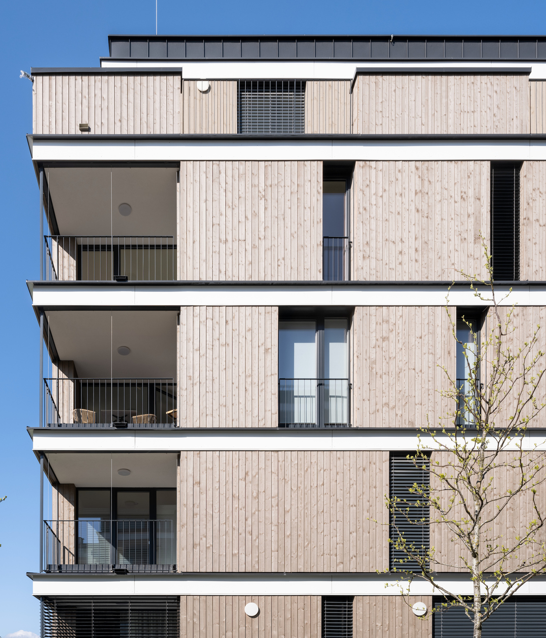 Ein Foto von pierer.net