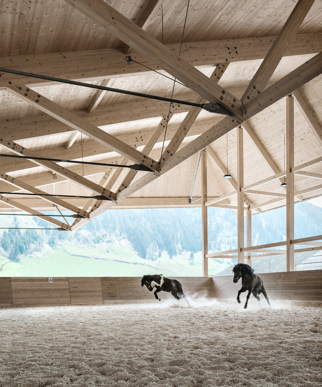 Ein Foto von Albrecht Imanuel Schnabel