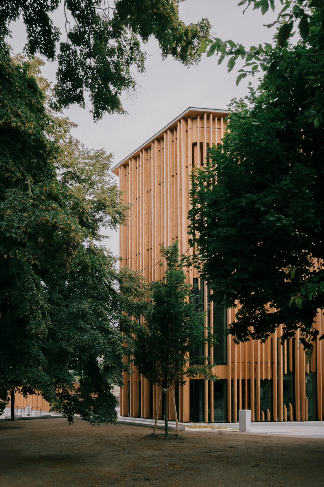 Ein Foto von Patrick Johannsen