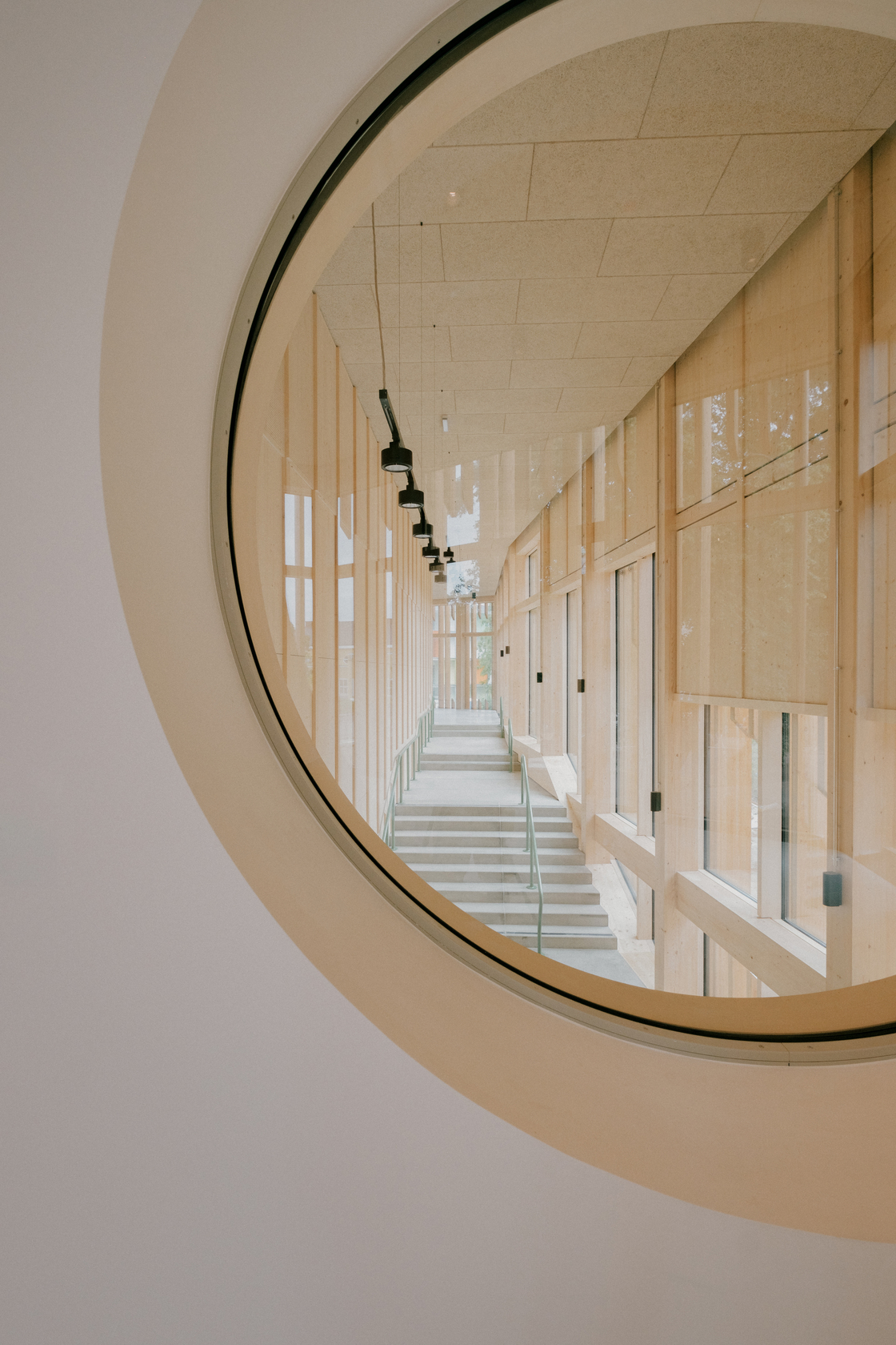 Ein Foto von Patrick Johannsen