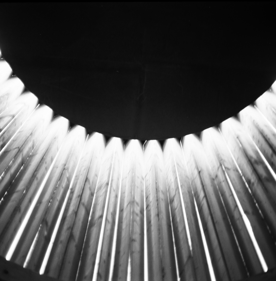 Ein Foto von Christopher Clarkson