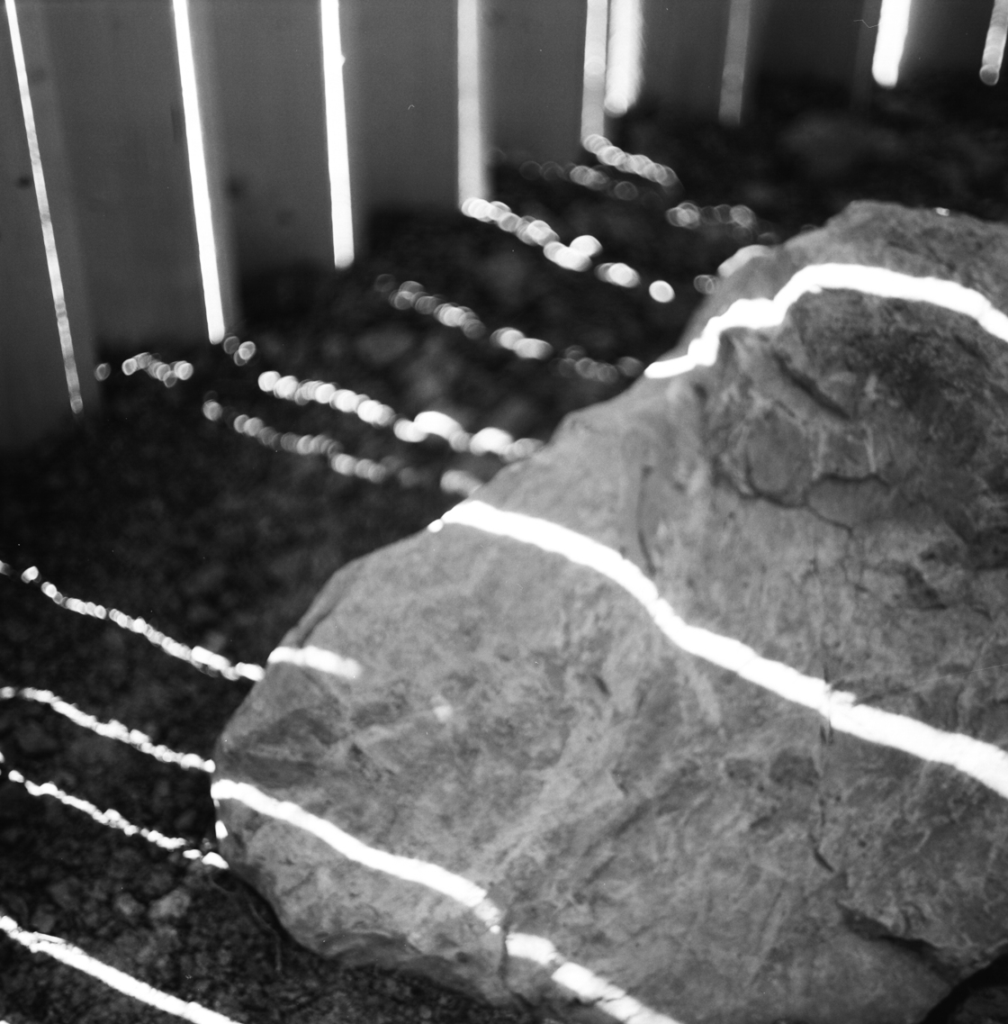 Ein Foto von Christopher Clarkson