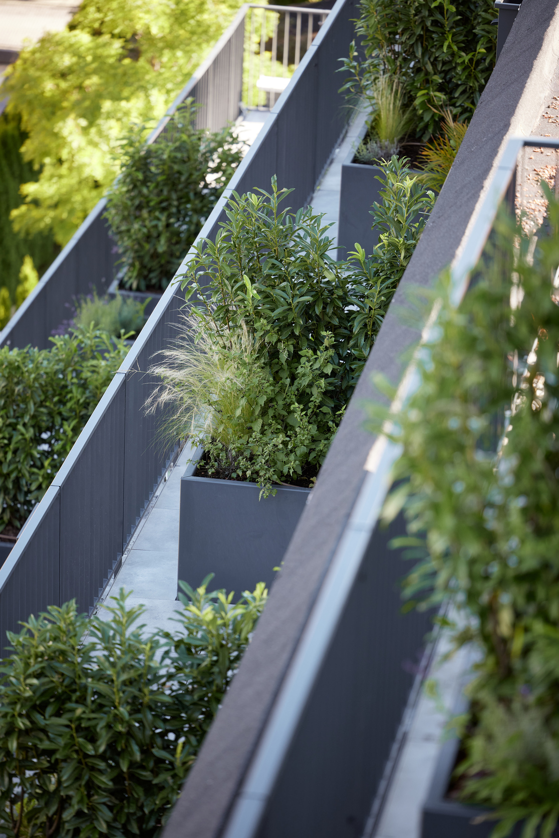 Ein Foto von Julian Höck