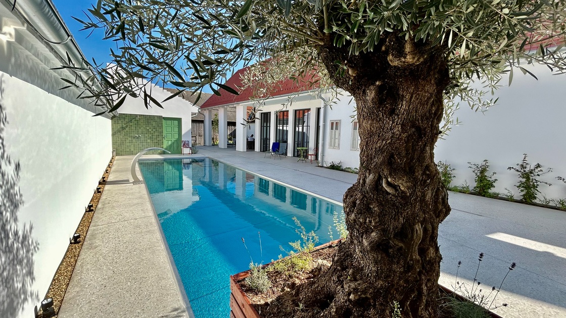 Ein Foto von Reinhard Gombas