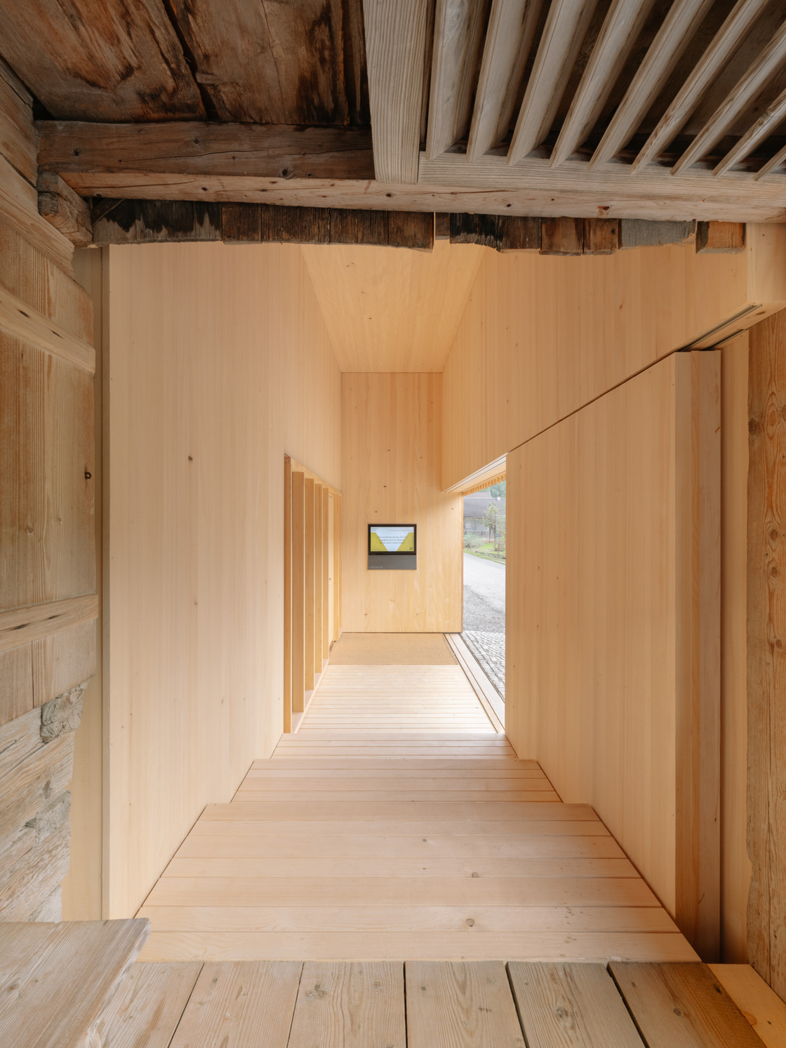 Ein Foto von Dominic Kummer