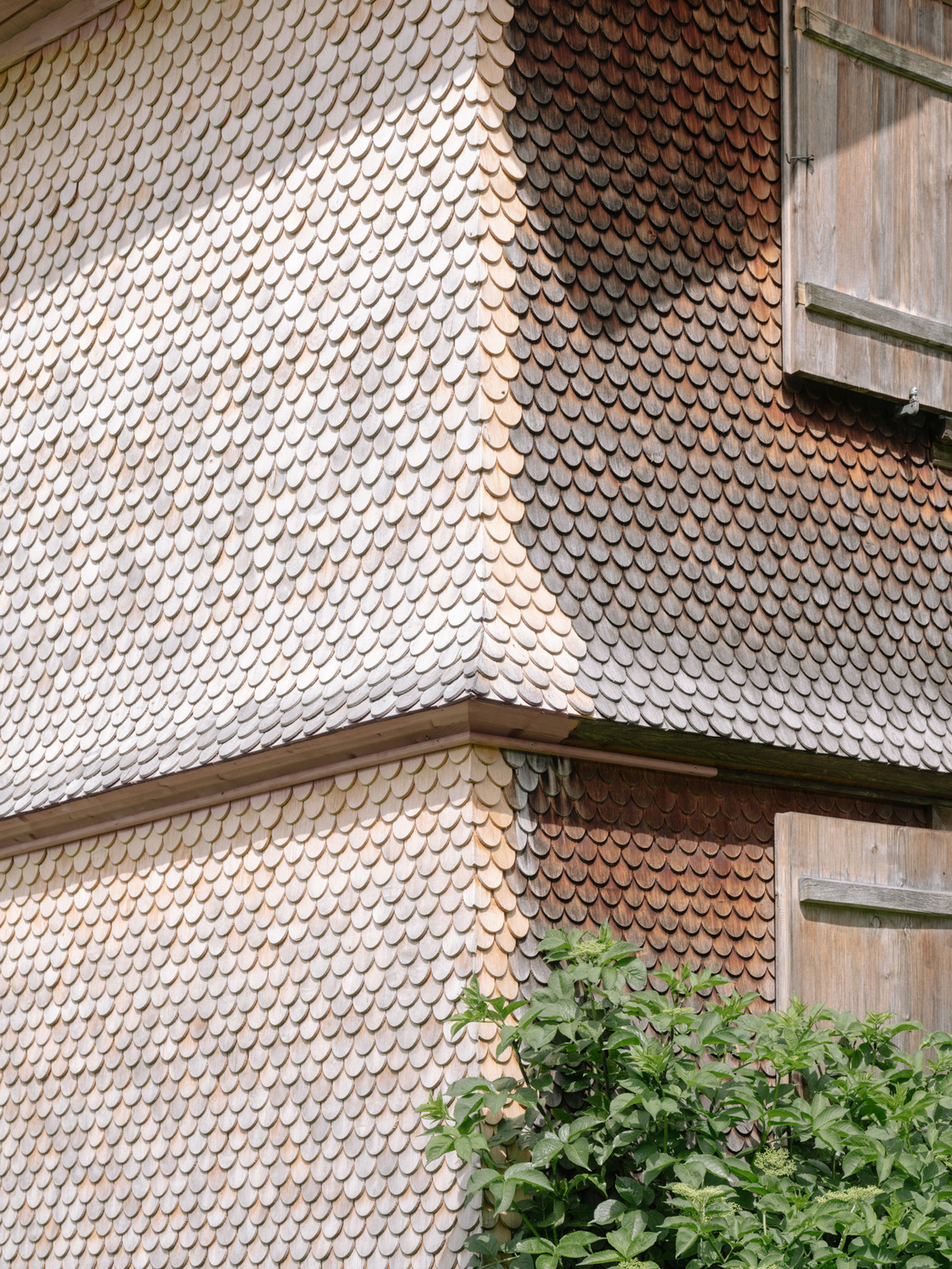 Ein Foto von Dominic Kummer