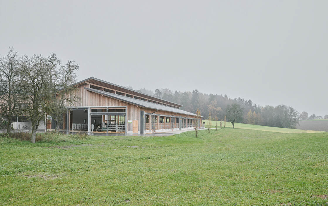 Ein Foto von David Schreyer