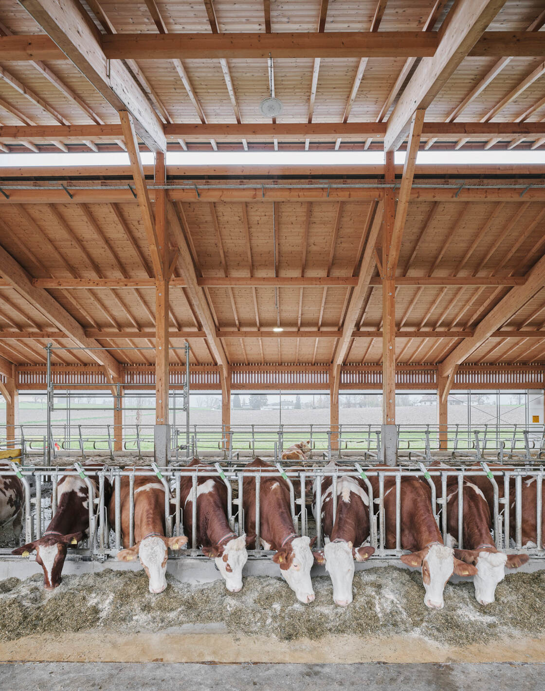 Ein Foto von David Schreyer