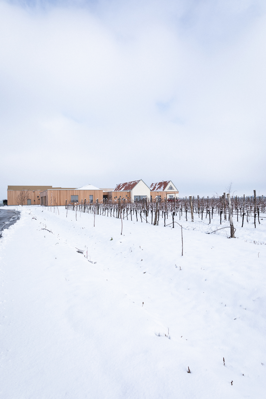 Ein Foto von Sima Prodinger