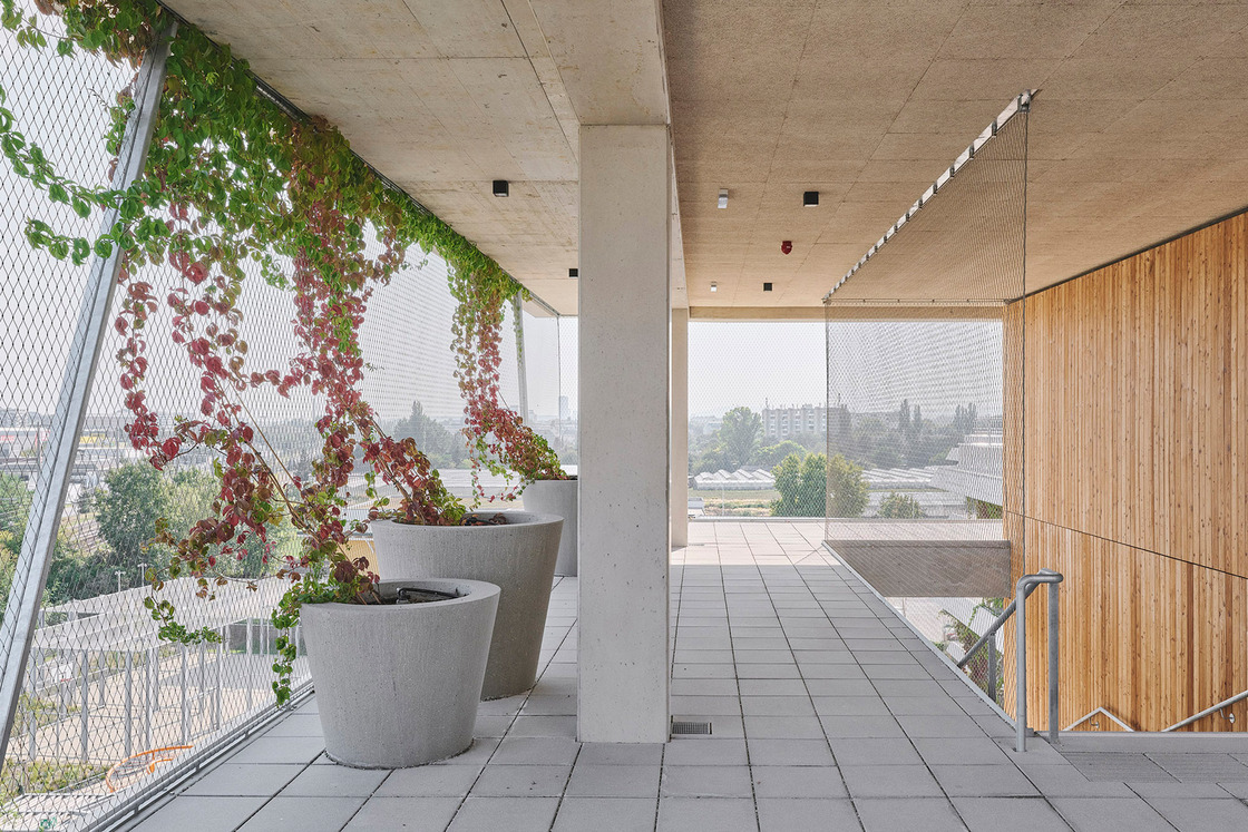 Ein Foto von David Schreyer