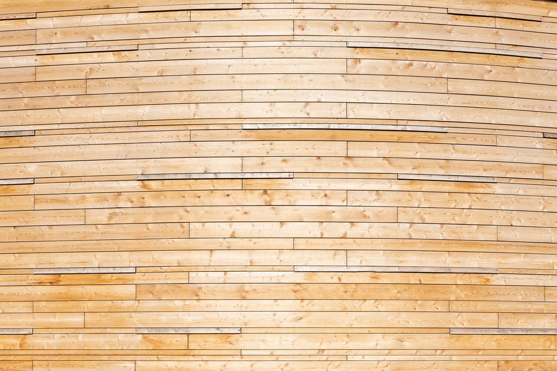 Ein Foto von Lukas Schaller