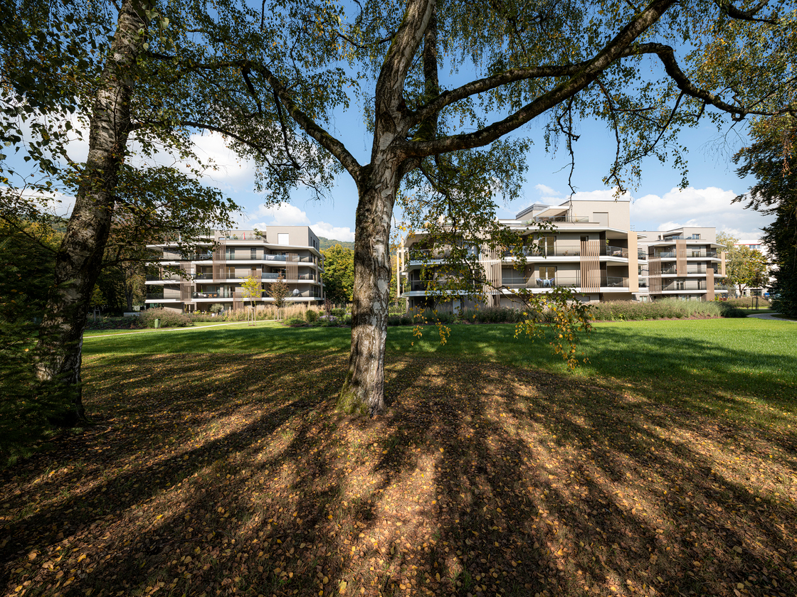 Ein Foto von Dietmar Tollerian