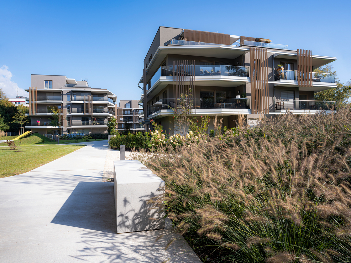 Ein Foto von Dietmar Tollerian