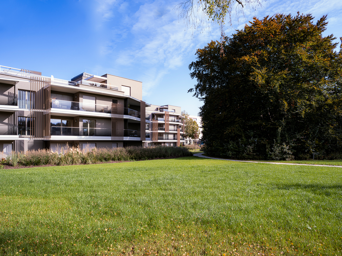 Ein Foto von Dietmar Tollerian