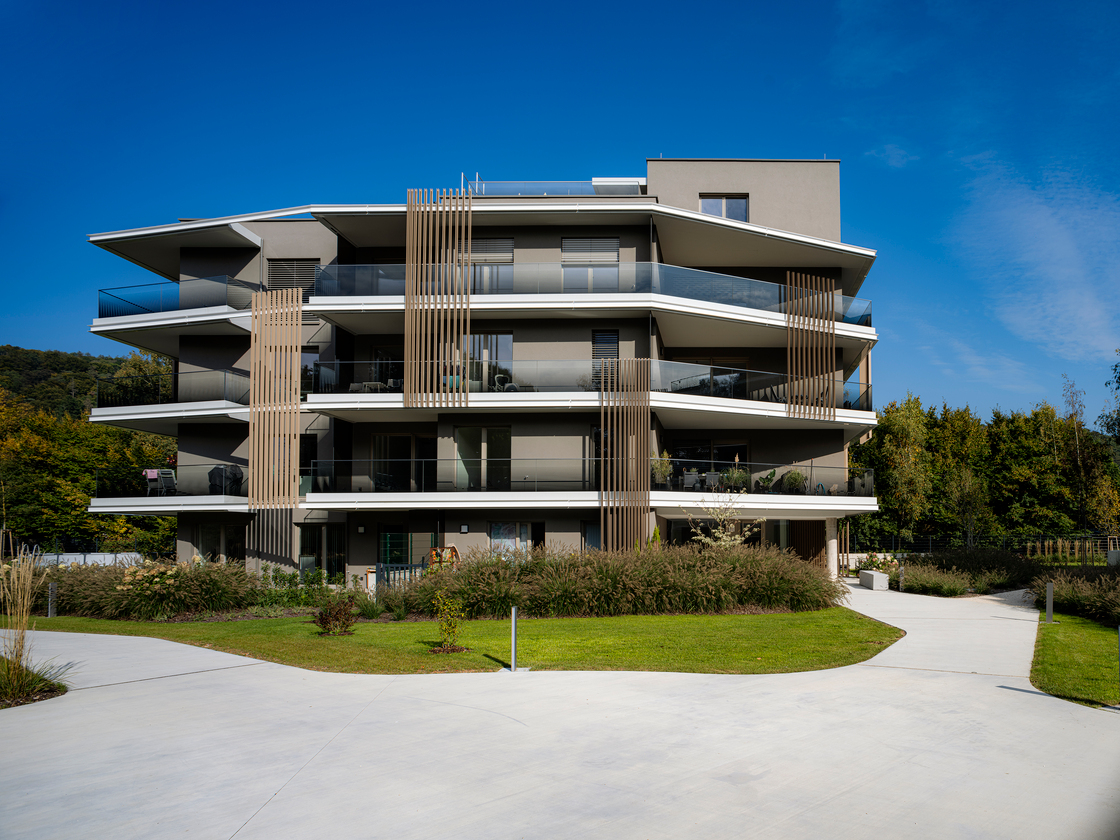 Ein Foto von Dietmar Tollerian