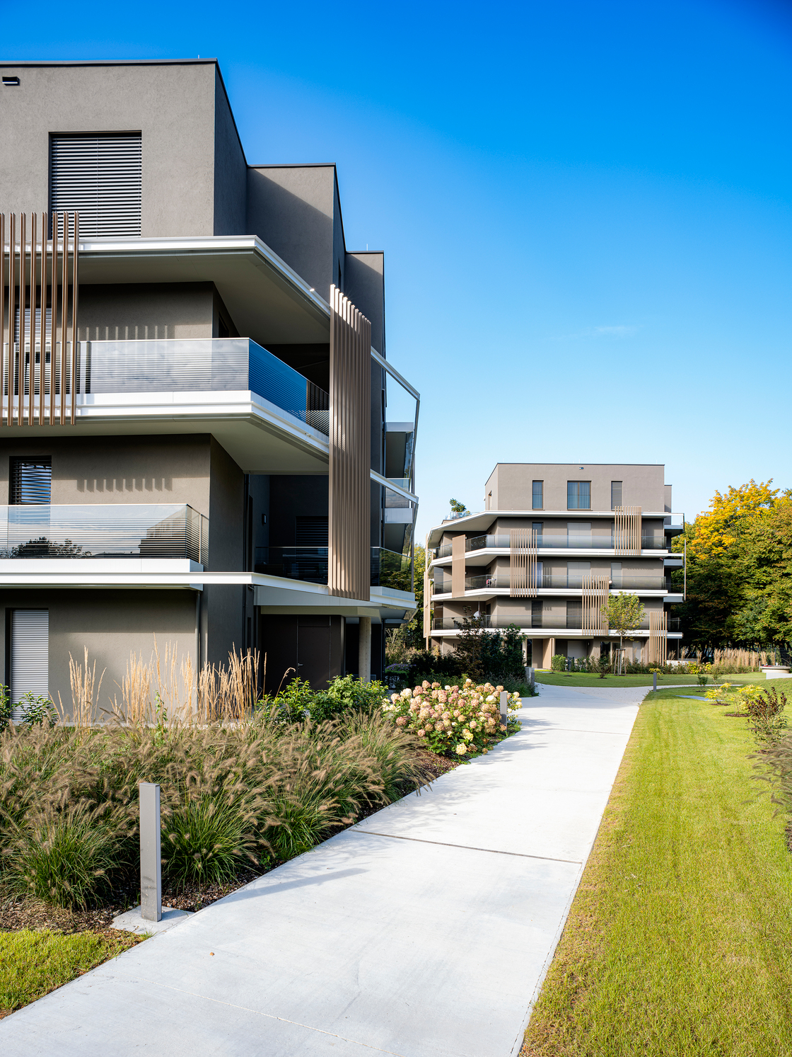 Ein Foto von Dietmar Tollerian