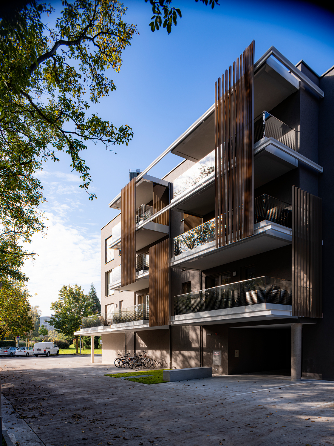 Ein Foto von Dietmar Tollerian