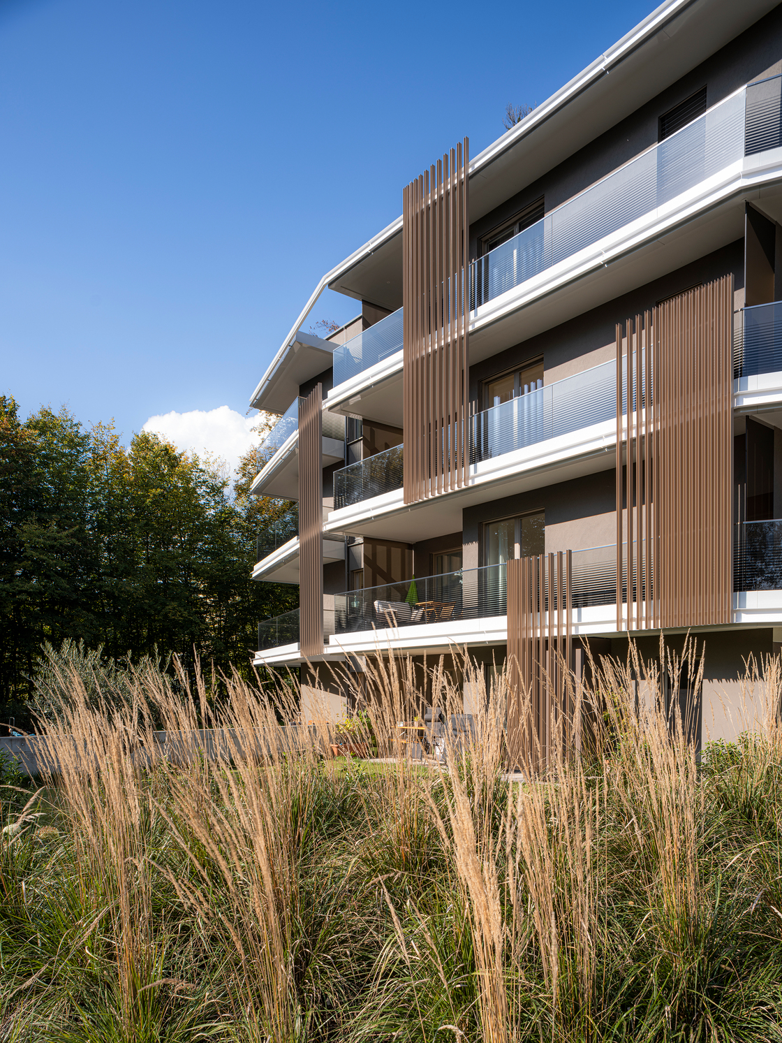 Ein Foto von Dietmar Tollerian