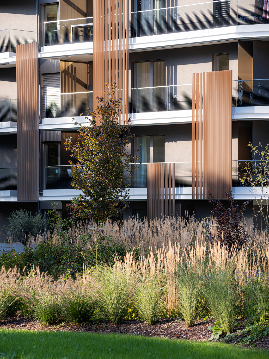 Ein Foto von Dietmar Tollerian