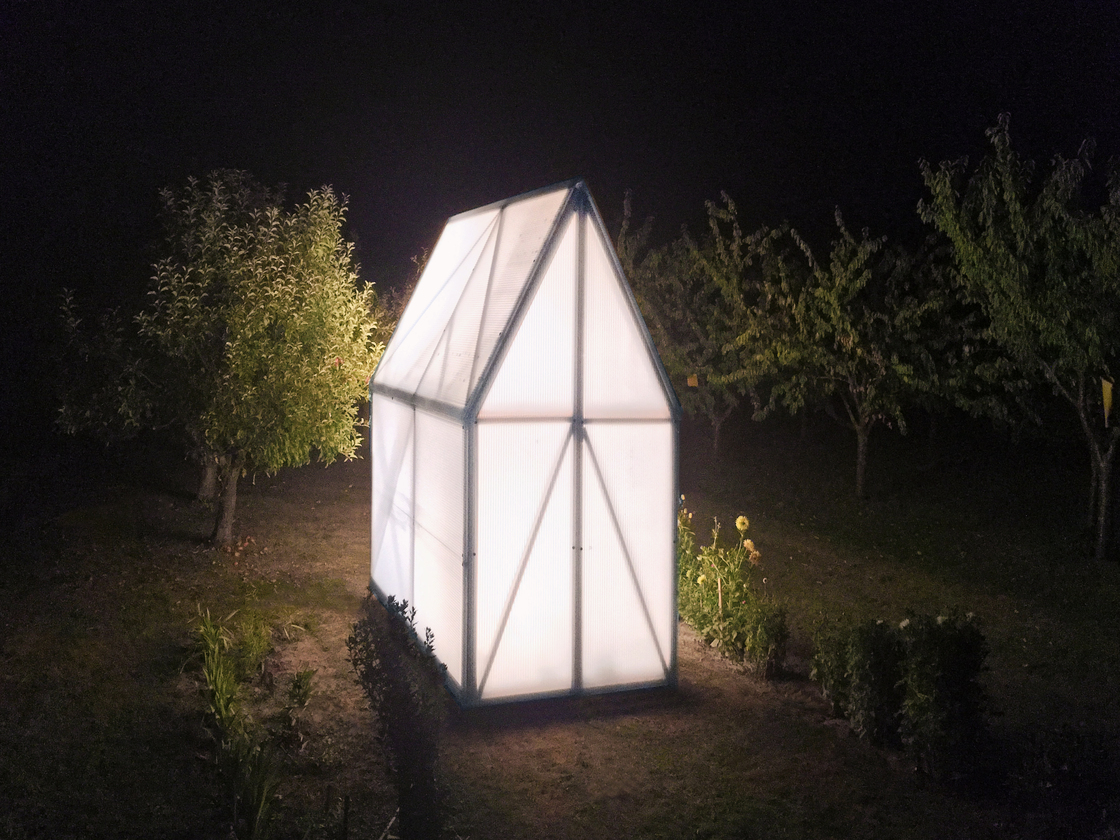 Ein Foto von Arian Lehner