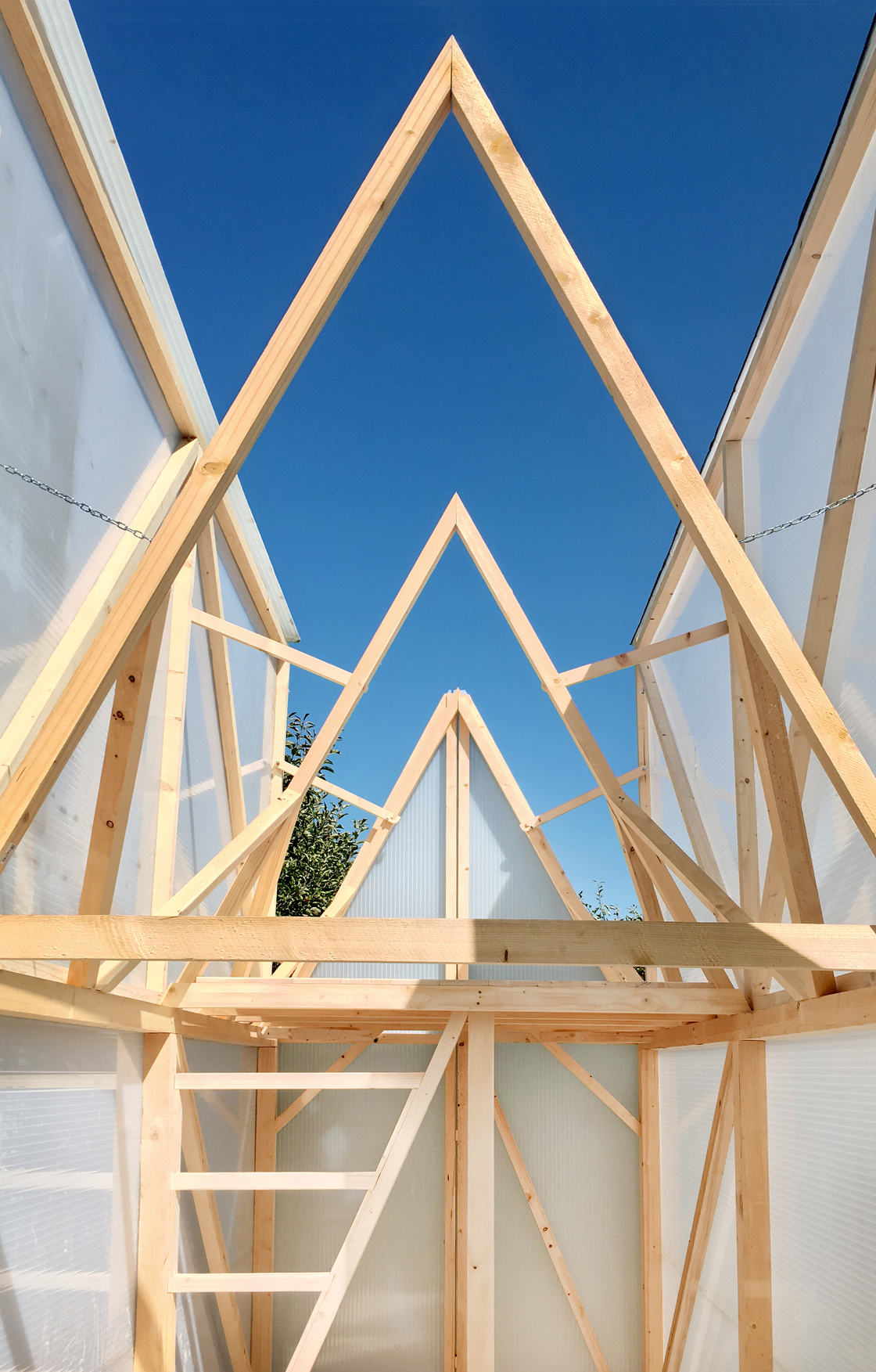 Ein Foto von Arian Lehner