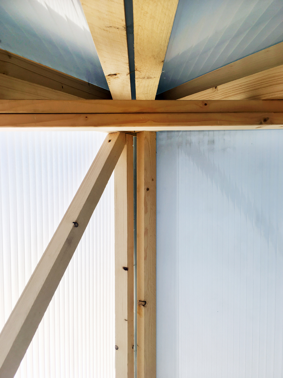 Ein Foto von Arian Lehner