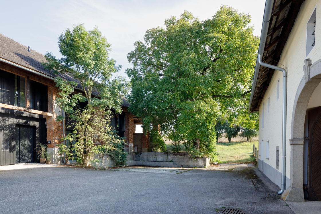 Ein Foto von Gregor Graf