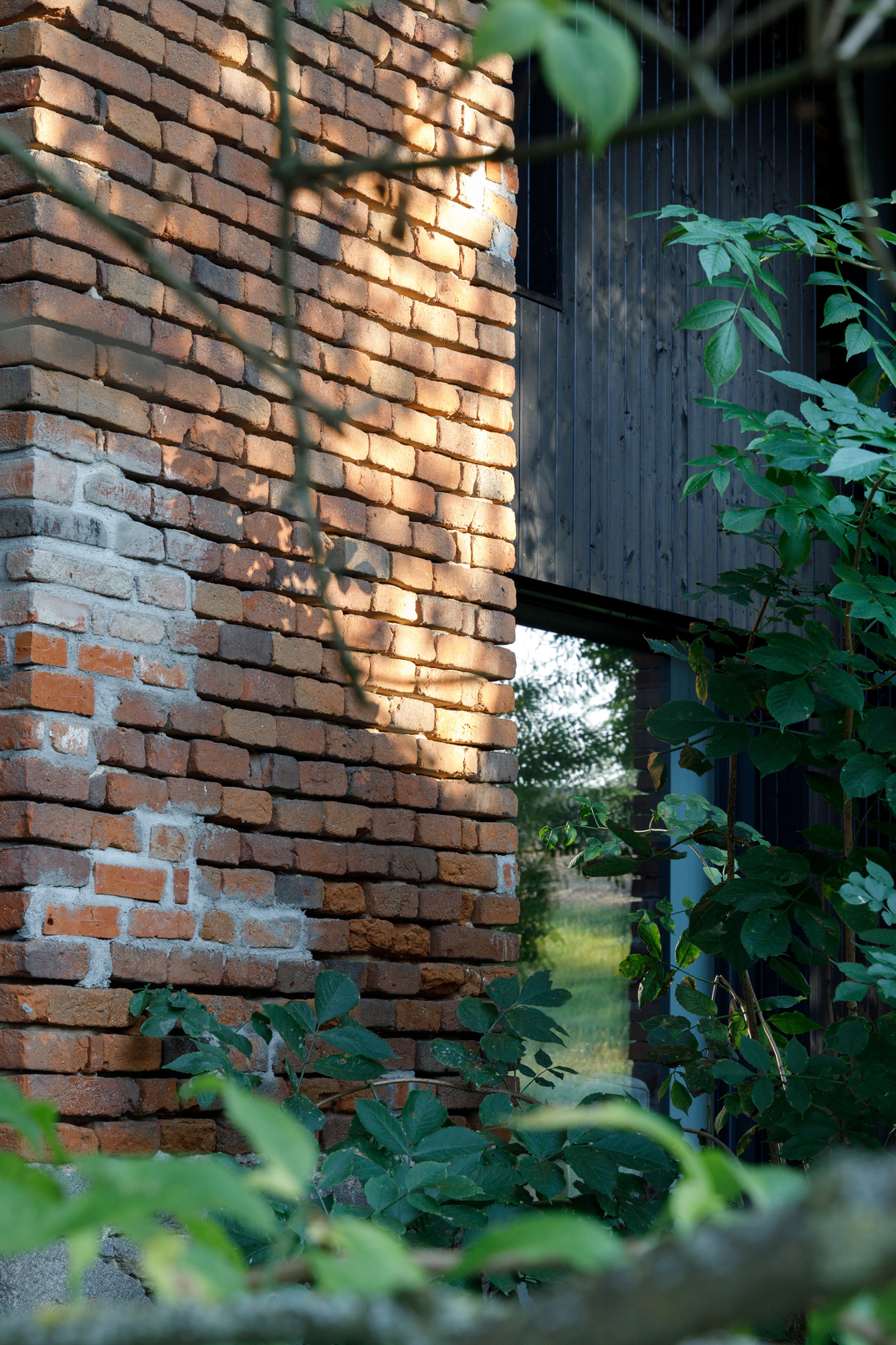 Ein Foto von Gregor Graf