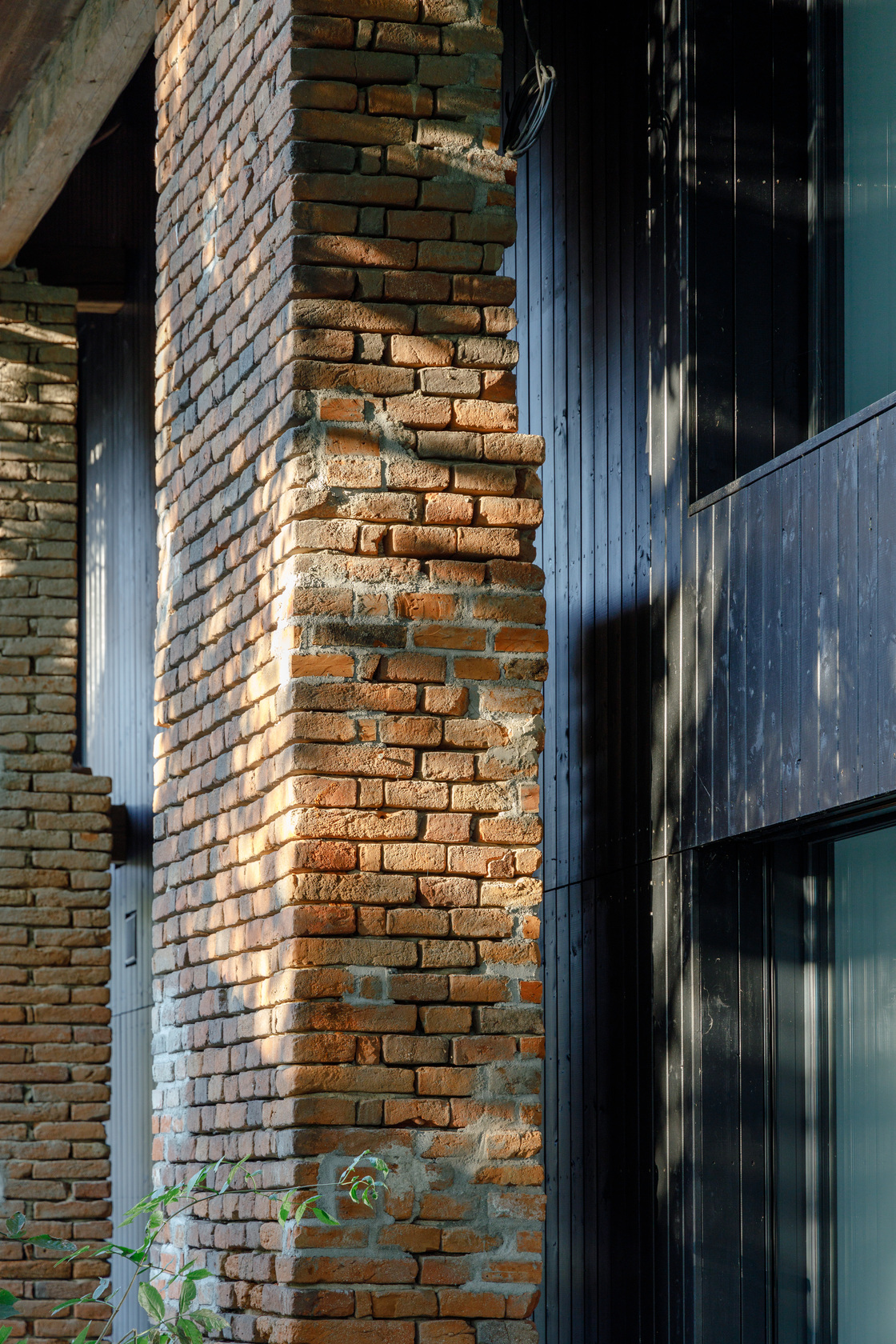 Ein Foto von Gregor Graf