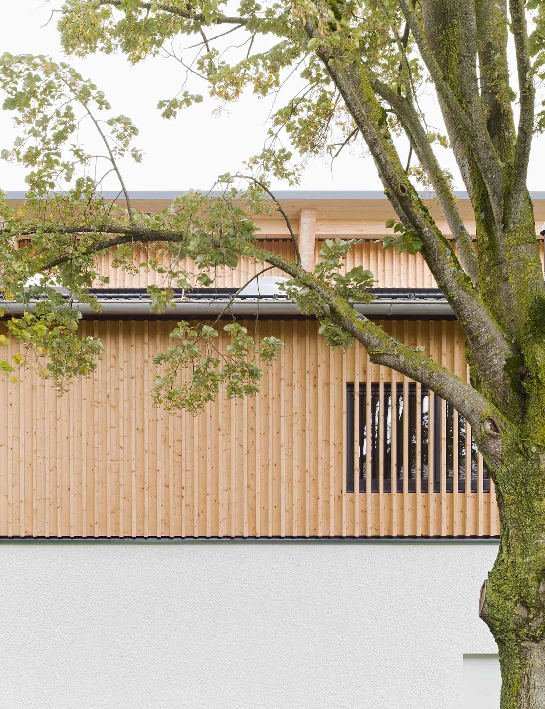 Ein Foto von Brigida Gonzalez