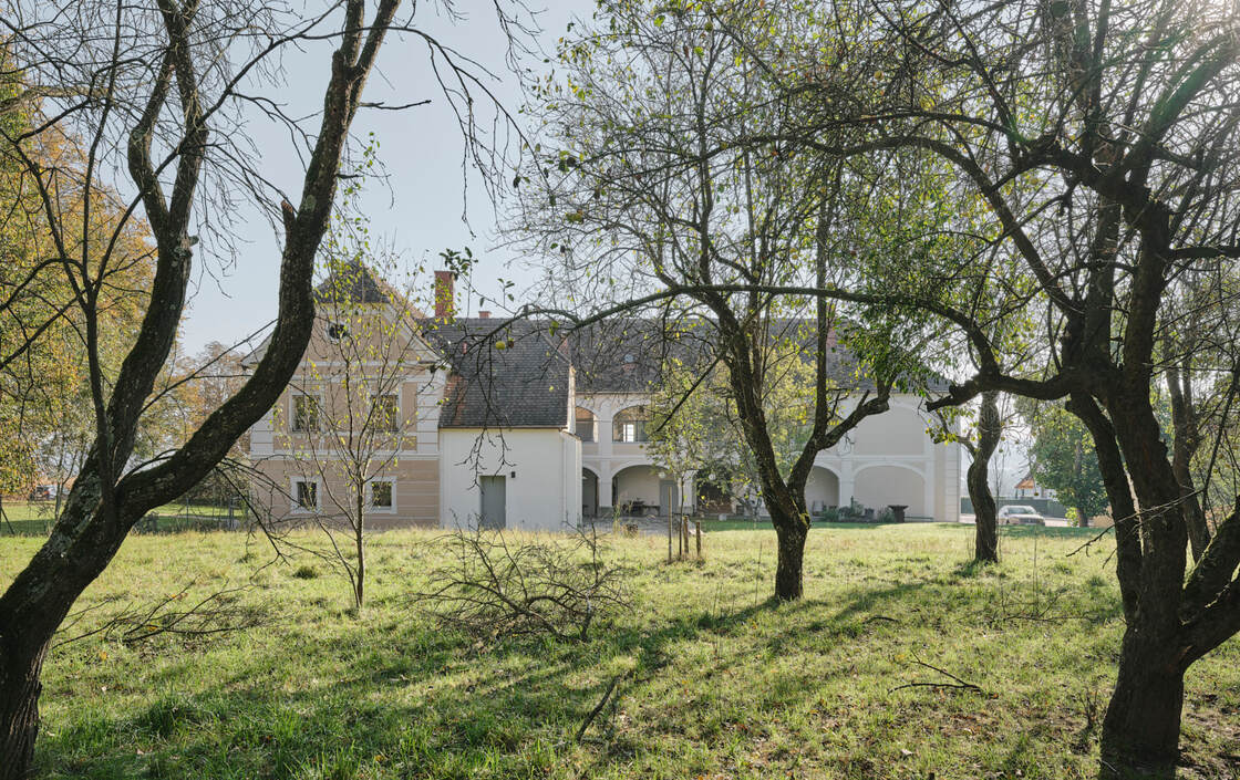 Ein Foto von David Schreyer