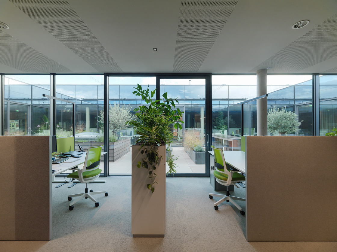 Ein Foto von Paul Ott