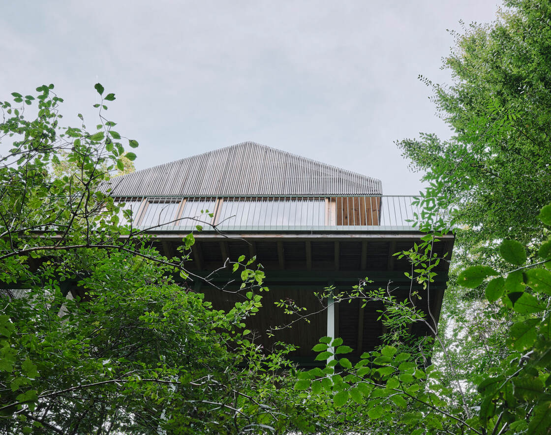 Ein Foto von David Schreyer