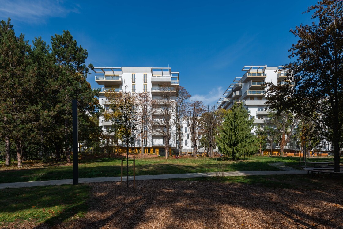 Ein Foto von AnnA BlaU