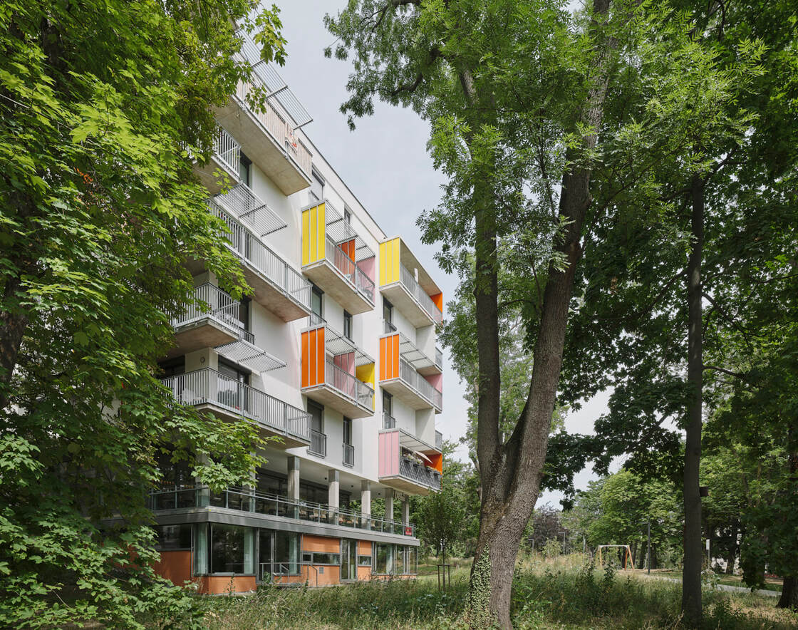 Ein Foto von David Schreyer