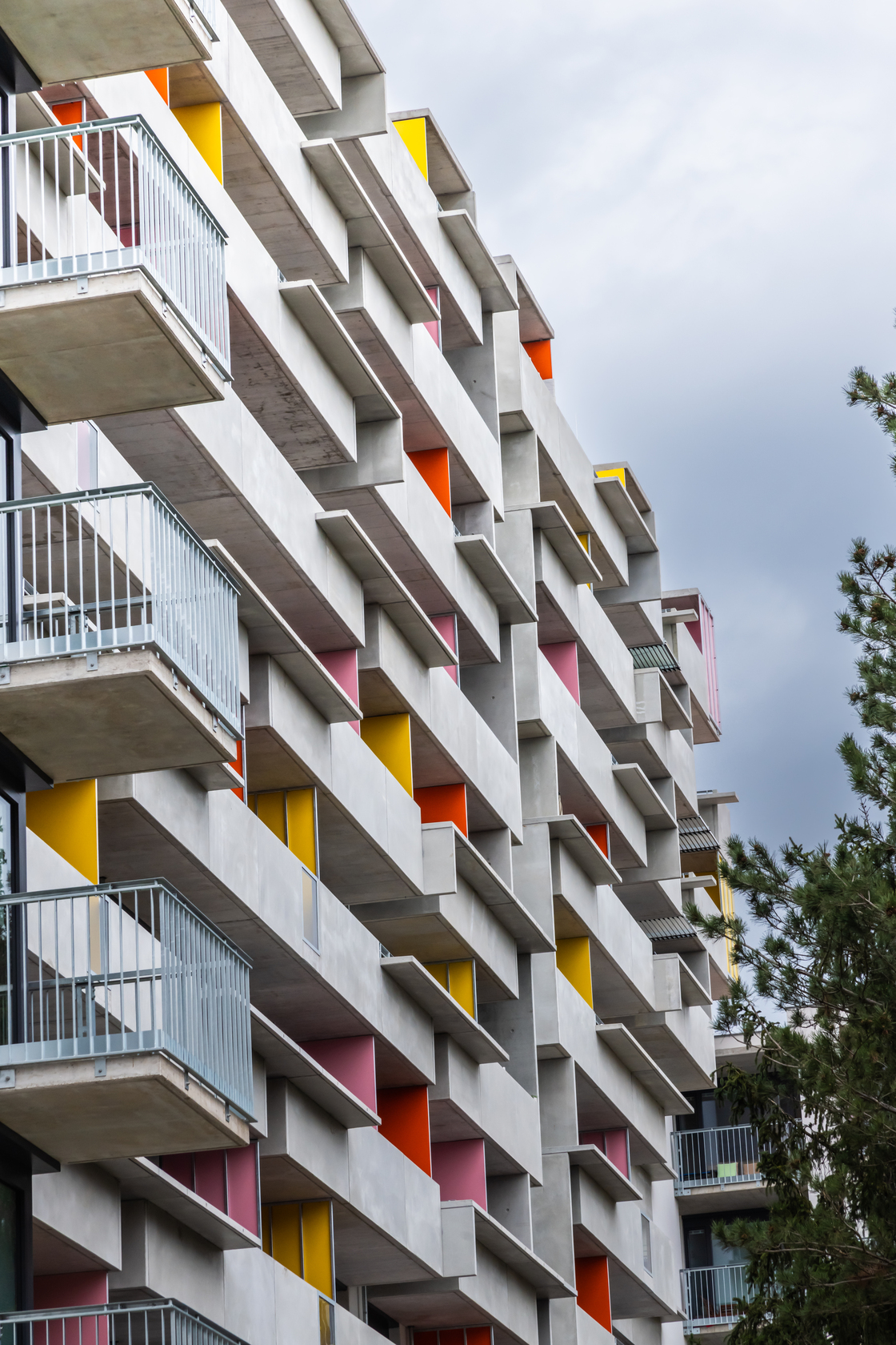 Ein Foto von Thomas Driendl