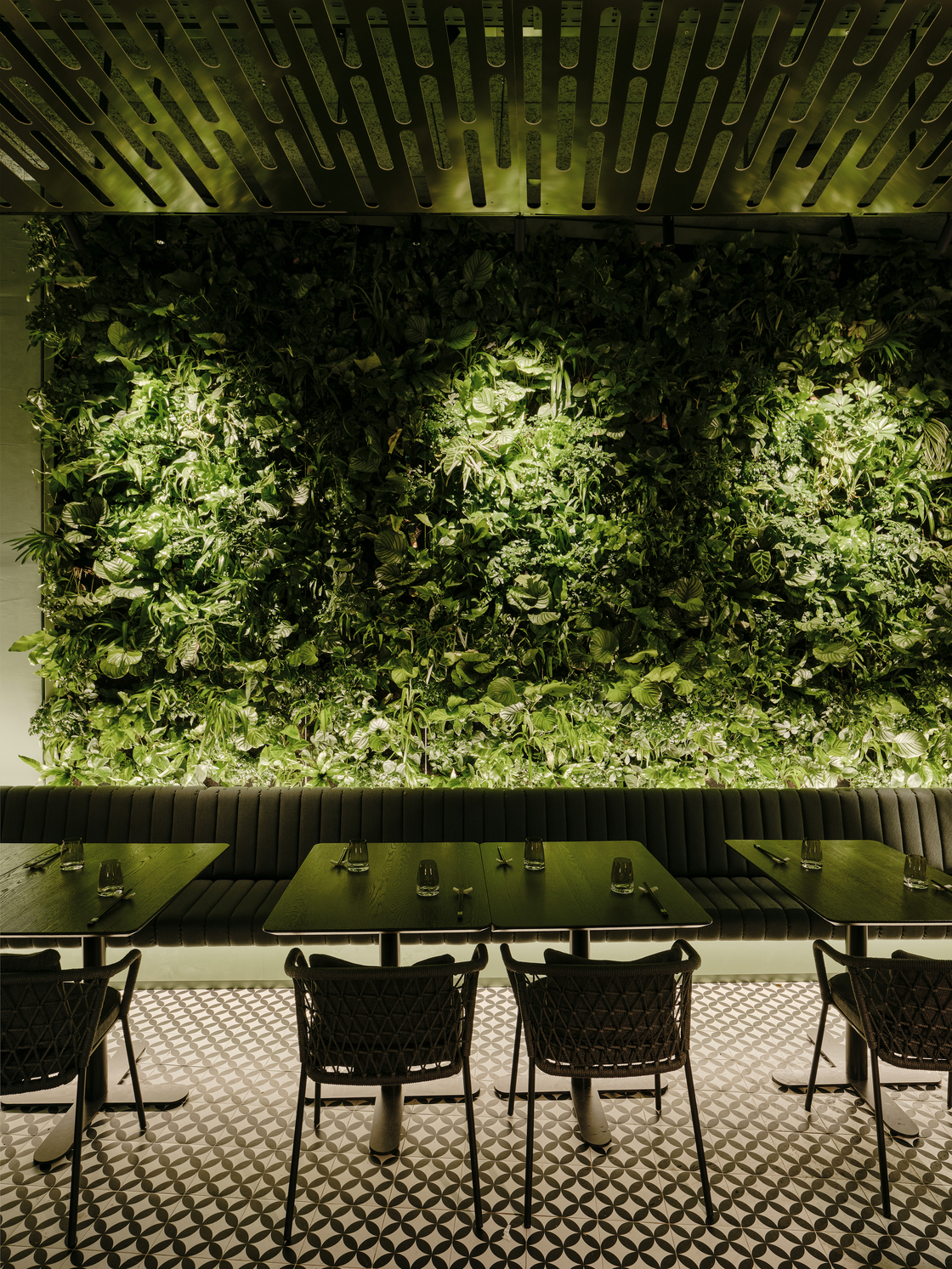 Ein Foto von Paul Ott