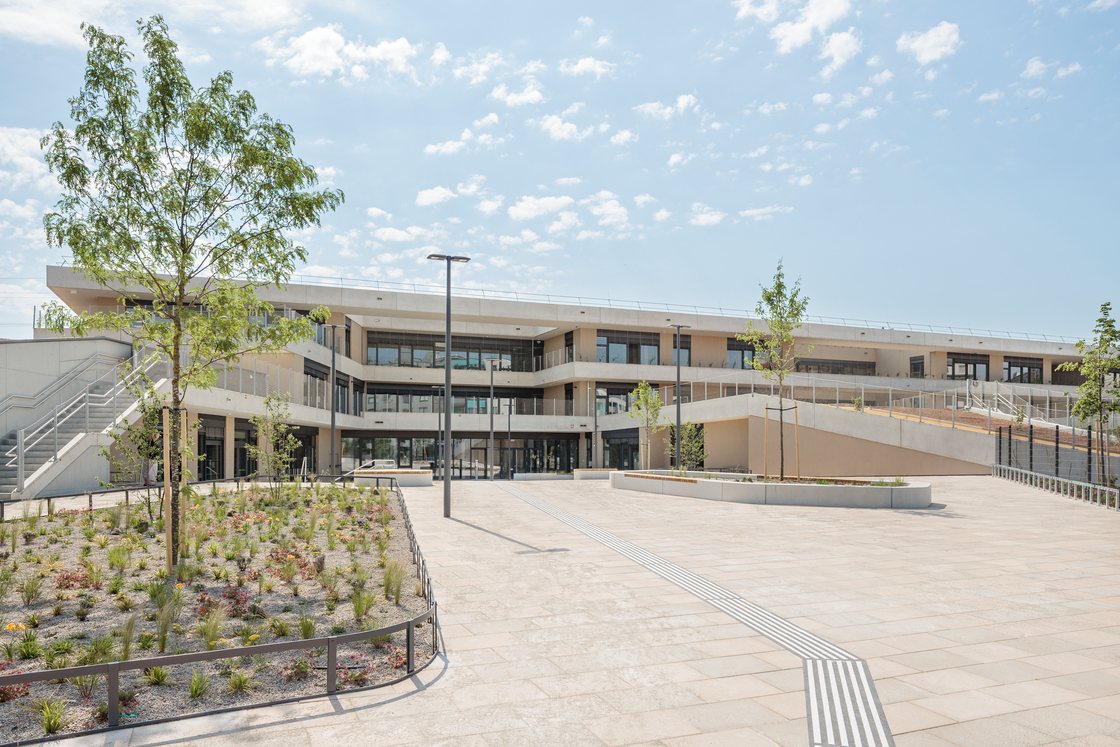 Ein Foto von Paul Sebesta